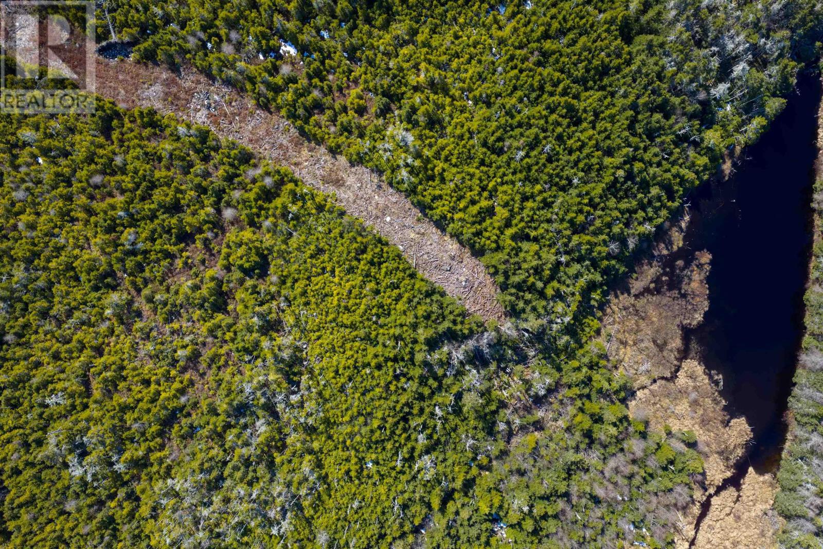 Lot 19 Lipkudamoonk Path, Clam Bay, Nova Scotia  B0J 1Y0 - Photo 29 - 202601983