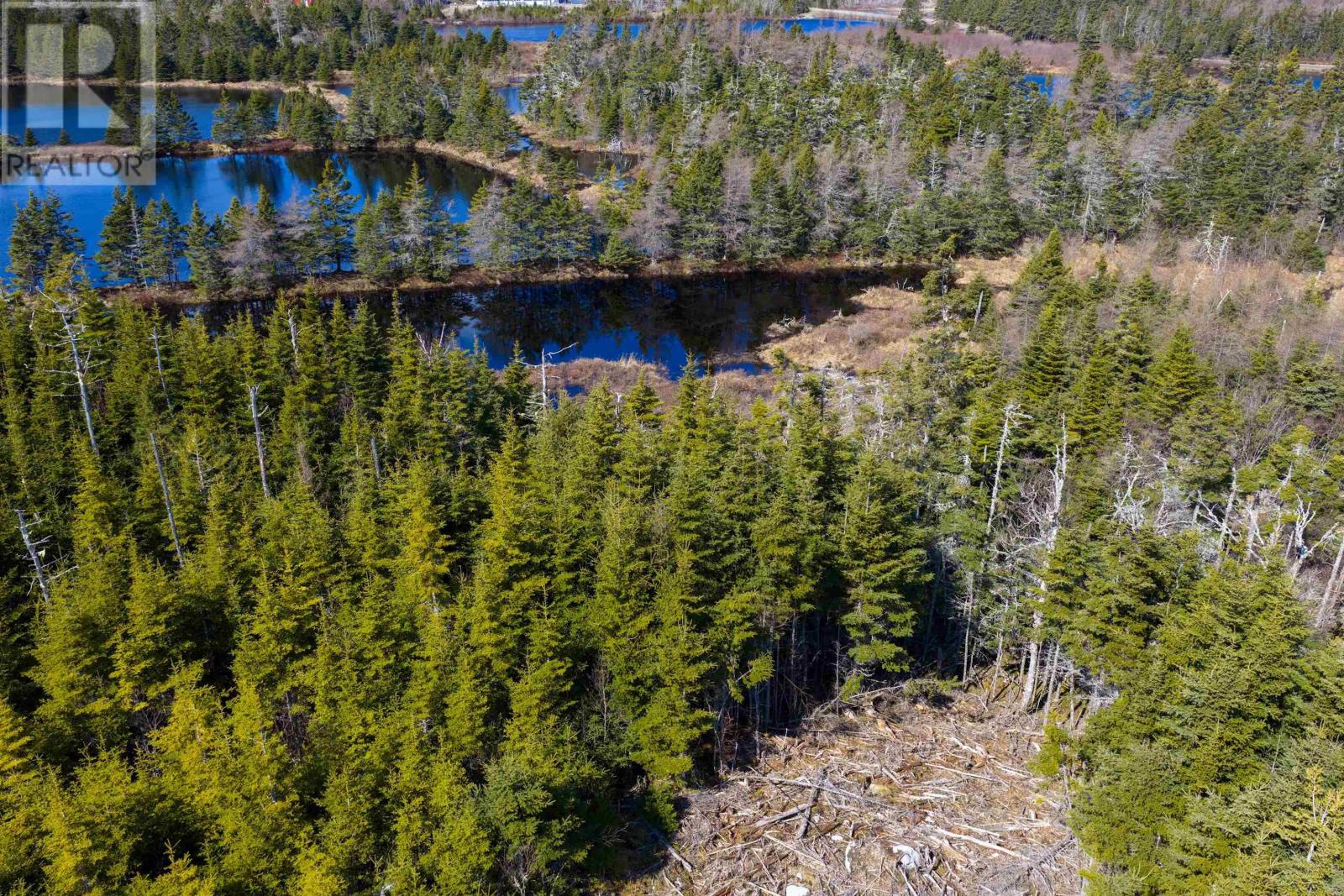 Lot 19 Lipkudamoonk Path, Clam Bay, Nova Scotia  B0J 1Y0 - Photo 34 - 202601983