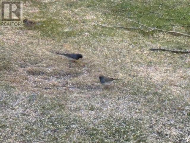 40 Maple Grove Village Road, Southgate, Ontario  N0C 1B0 - Photo 43 - X12838368