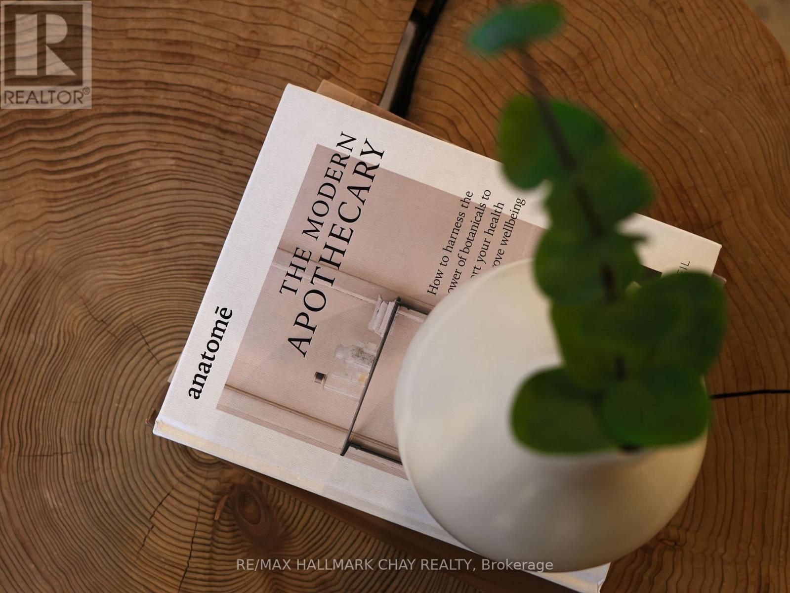 70 Church Street S, New Tecumseth, Ontario  L9R 1S7 - Photo 21 - N12982072