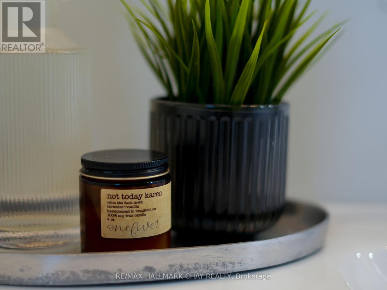 70 Church Street S, New Tecumseth, Ontario  L9R 1S7 - Photo 37 - N12982072