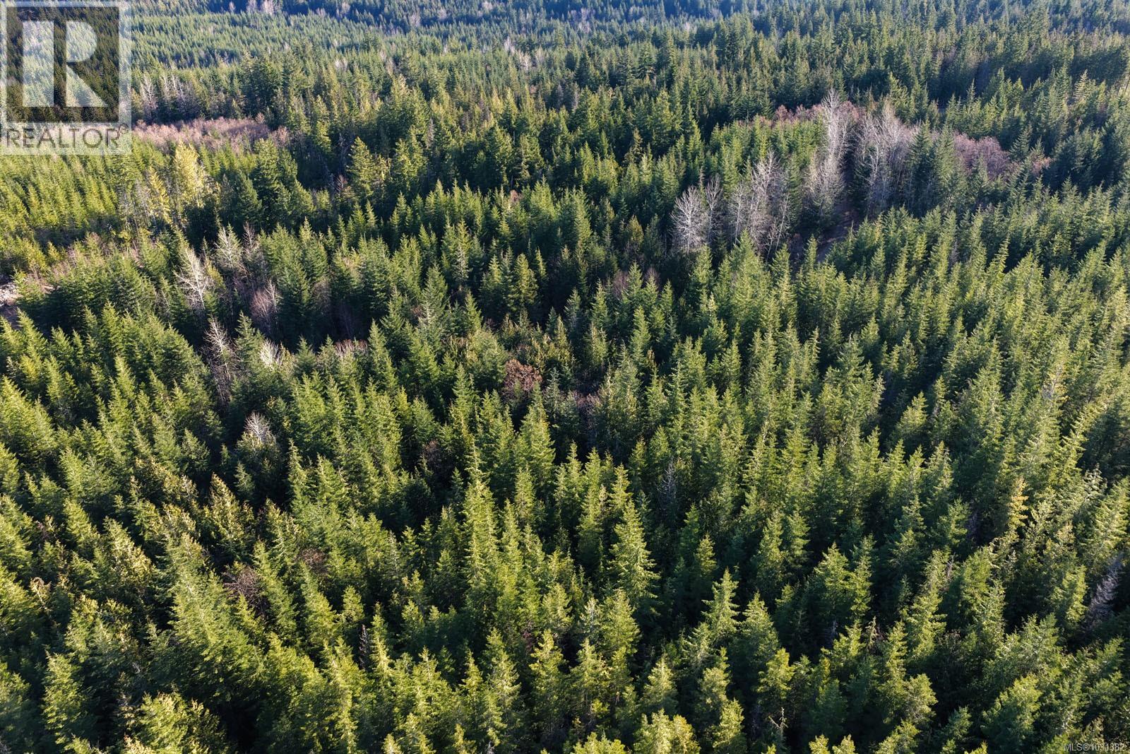 Lot B Forbidden Plateau Rd, Courtenay, British Columbia  V9J 1L2 - Photo 11 - 1031382