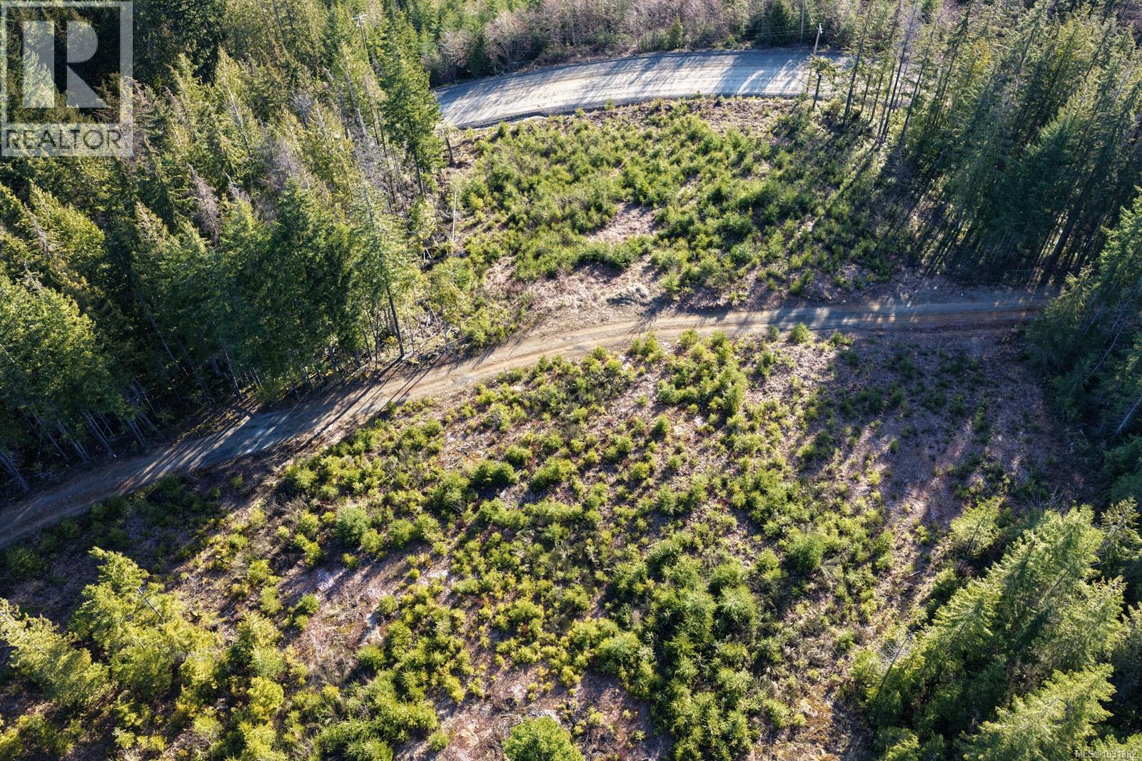 Lot B Forbidden Plateau Rd, Courtenay, British Columbia  V9J 1L2 - Photo 13 - 1031382