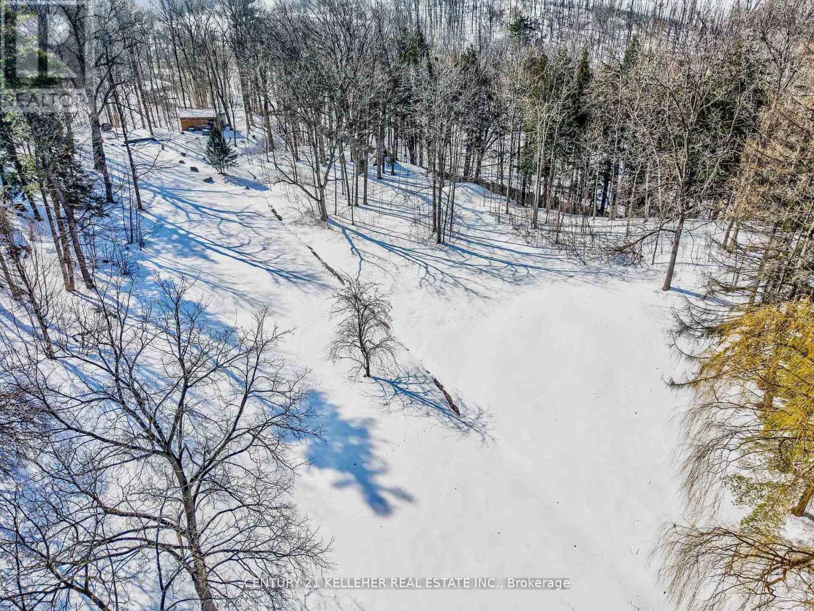 9920 Regional Road 25 Road, Halton Hills, Ontario  L9T 2X7 - Photo 29 - W12981992