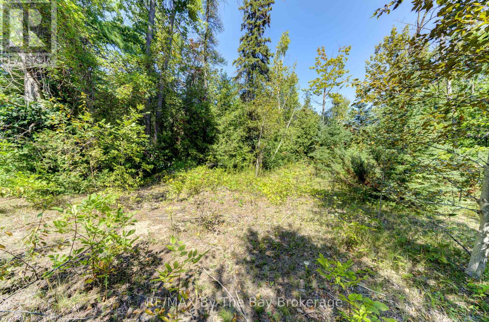 Lot 55 55th Street S, Wasaga Beach, Ontario  L9Z 1X1 - Photo 22 - S12982484
