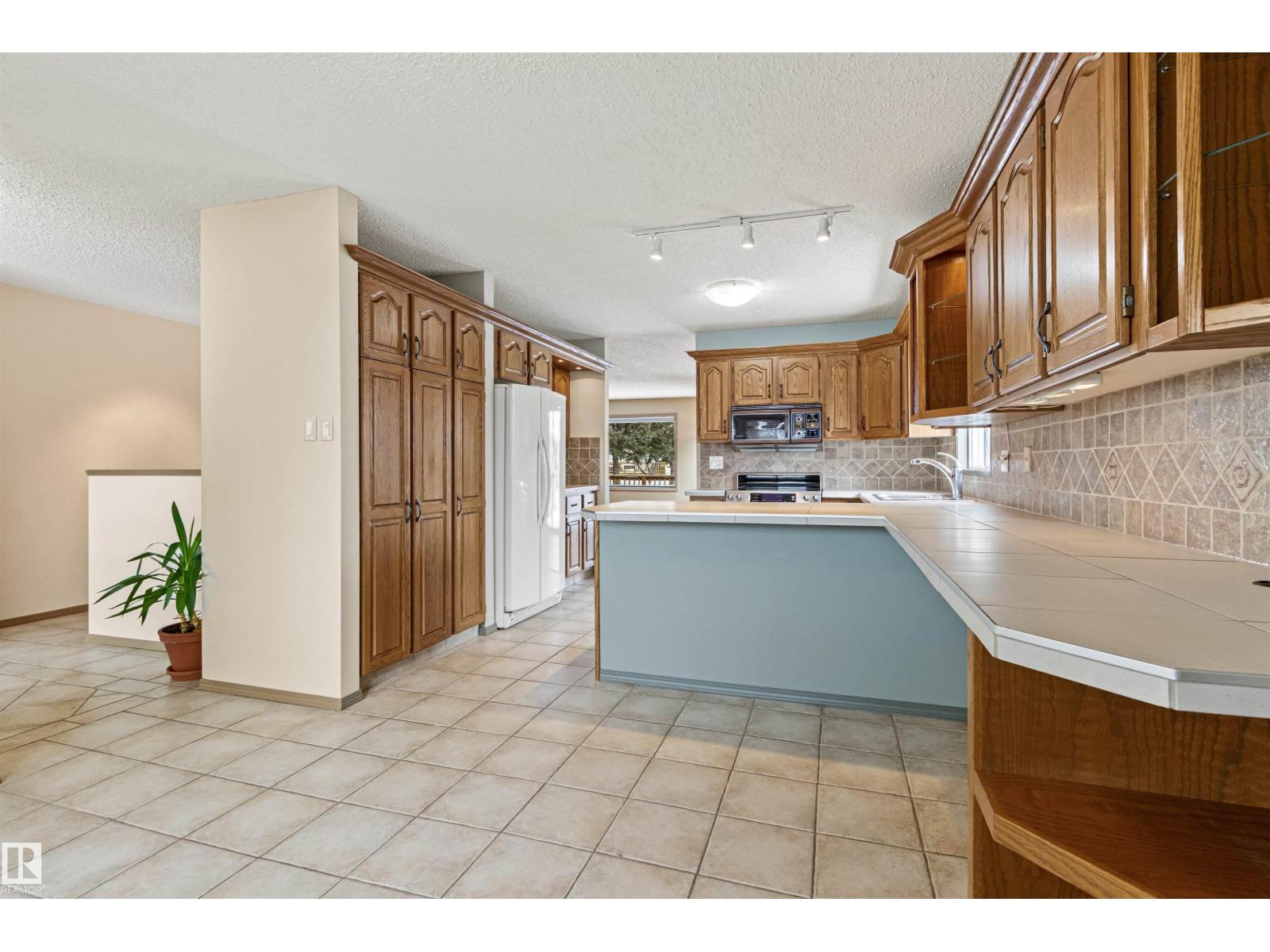 205 Oeming Rd Nw, Edmonton, Alberta  T6R 1M1 - Photo 10 - E4477714