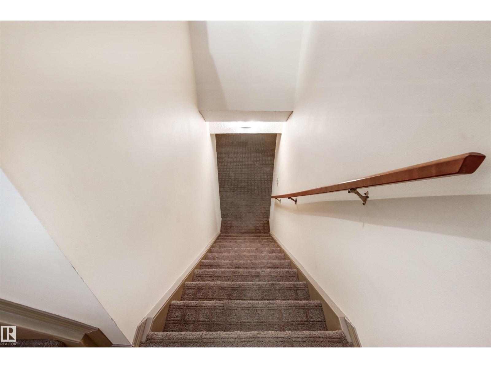 205 Oeming Rd Nw, Edmonton, Alberta  T6R 1M1 - Photo 37 - E4477714