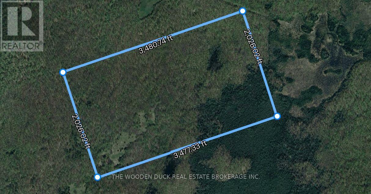 0east1 Road Allowance Road, Havelock-Belmont-Methuen, Ontario K0L 1Z0 - Photo 6 - X12969960