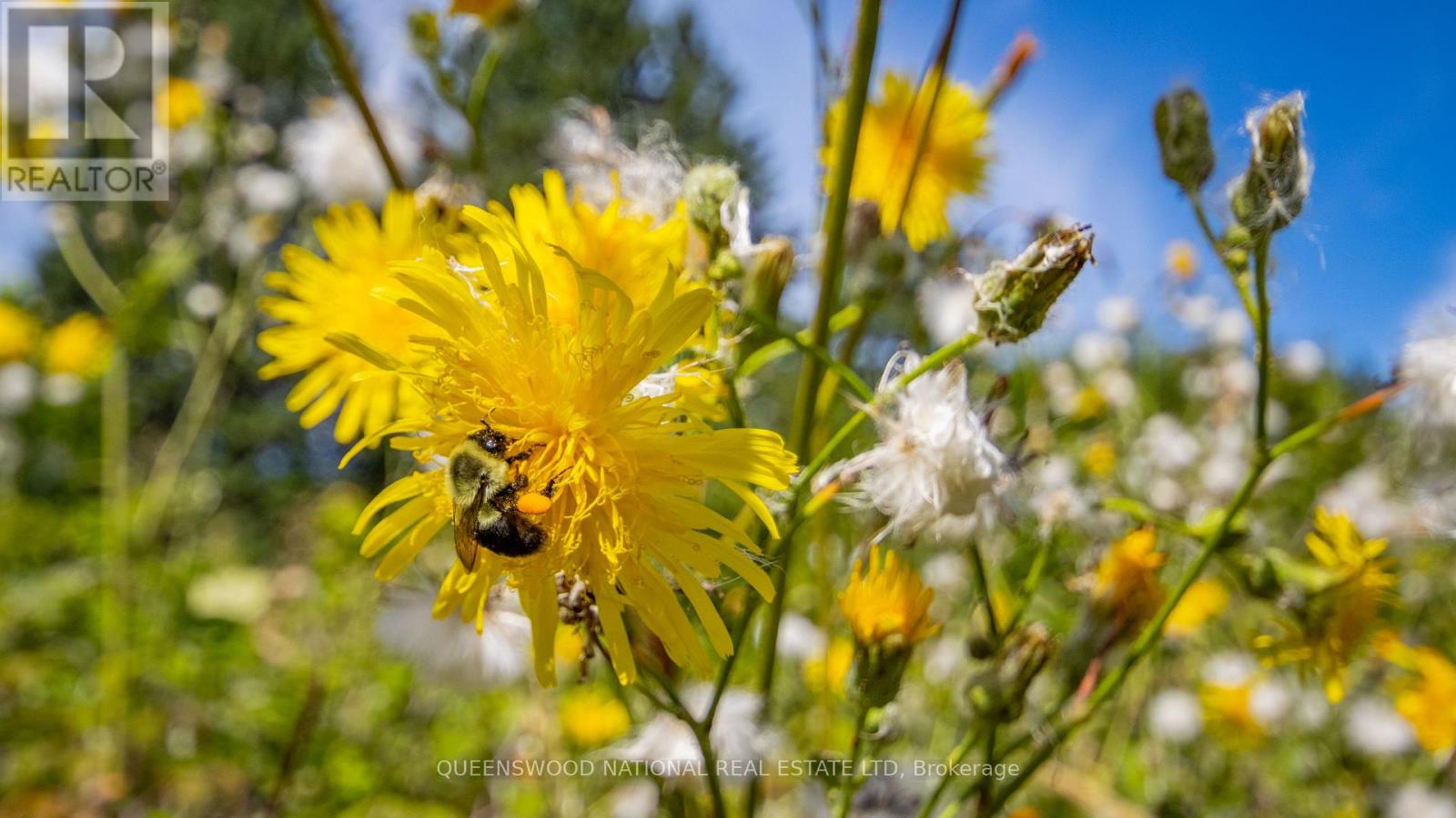 842 Centreview Road, Hastings Highlands, Ontario  K0J 1L0 - Photo 46 - X12358172