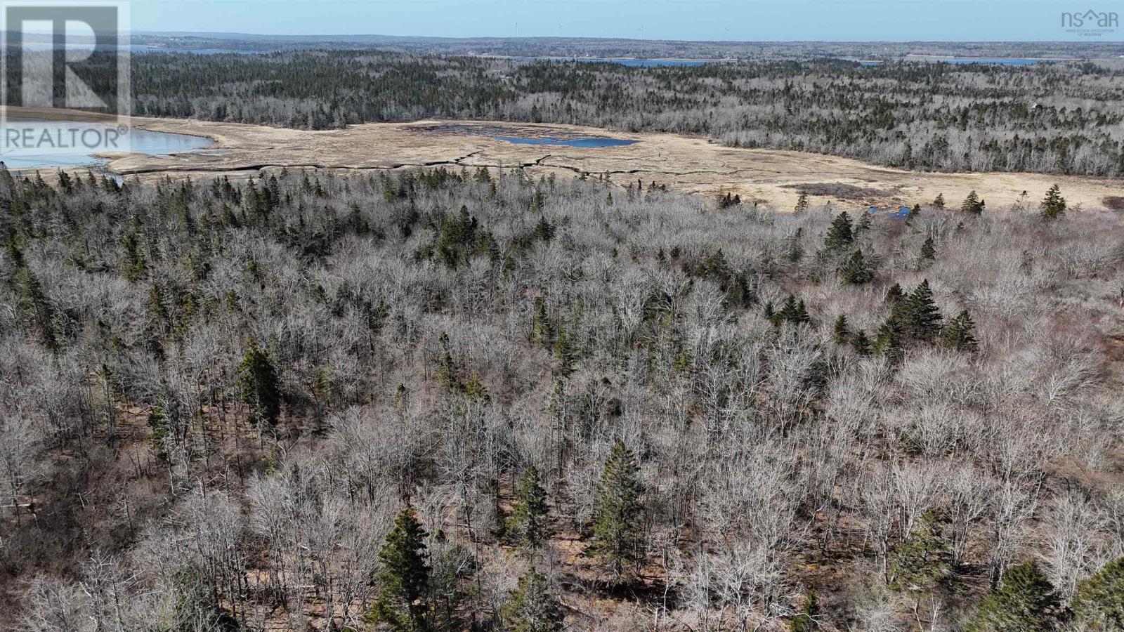 Lot 308 Highway, Sluice Point, Nova Scotia  B0W 3P0 - Photo 4 - 202518209