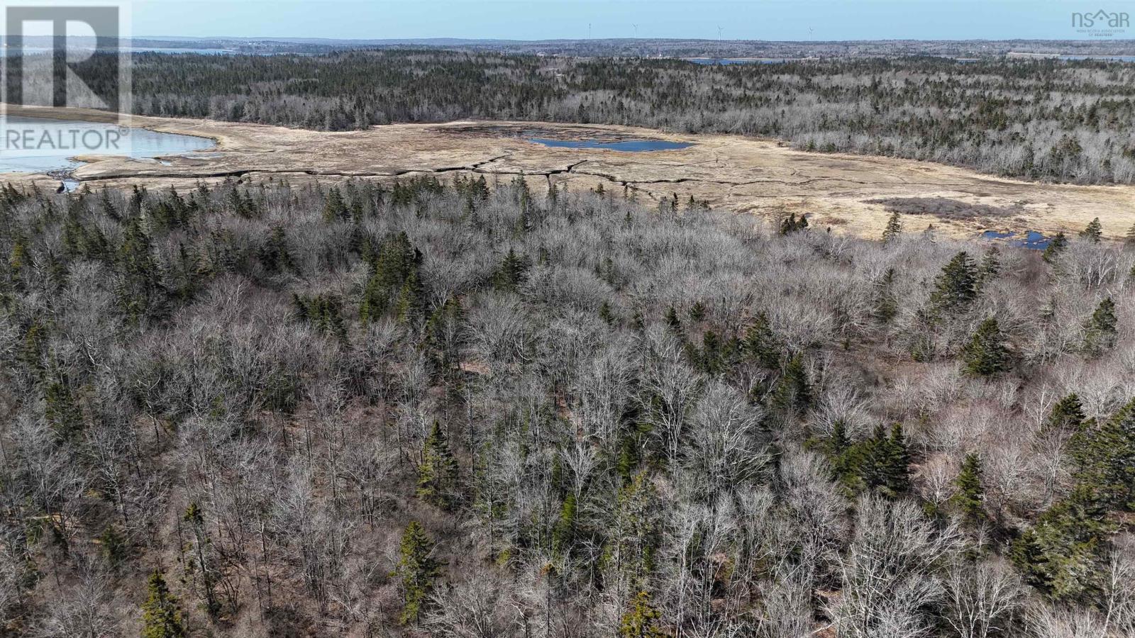 Lot 308 Highway, Sluice Point, Nova Scotia  B0W 3P0 - Photo 6 - 202518209