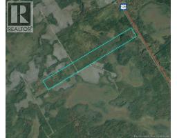 WOODLOT 54 - RTE 126(BIRCH RIDGE), birch ridge, New Brunswick