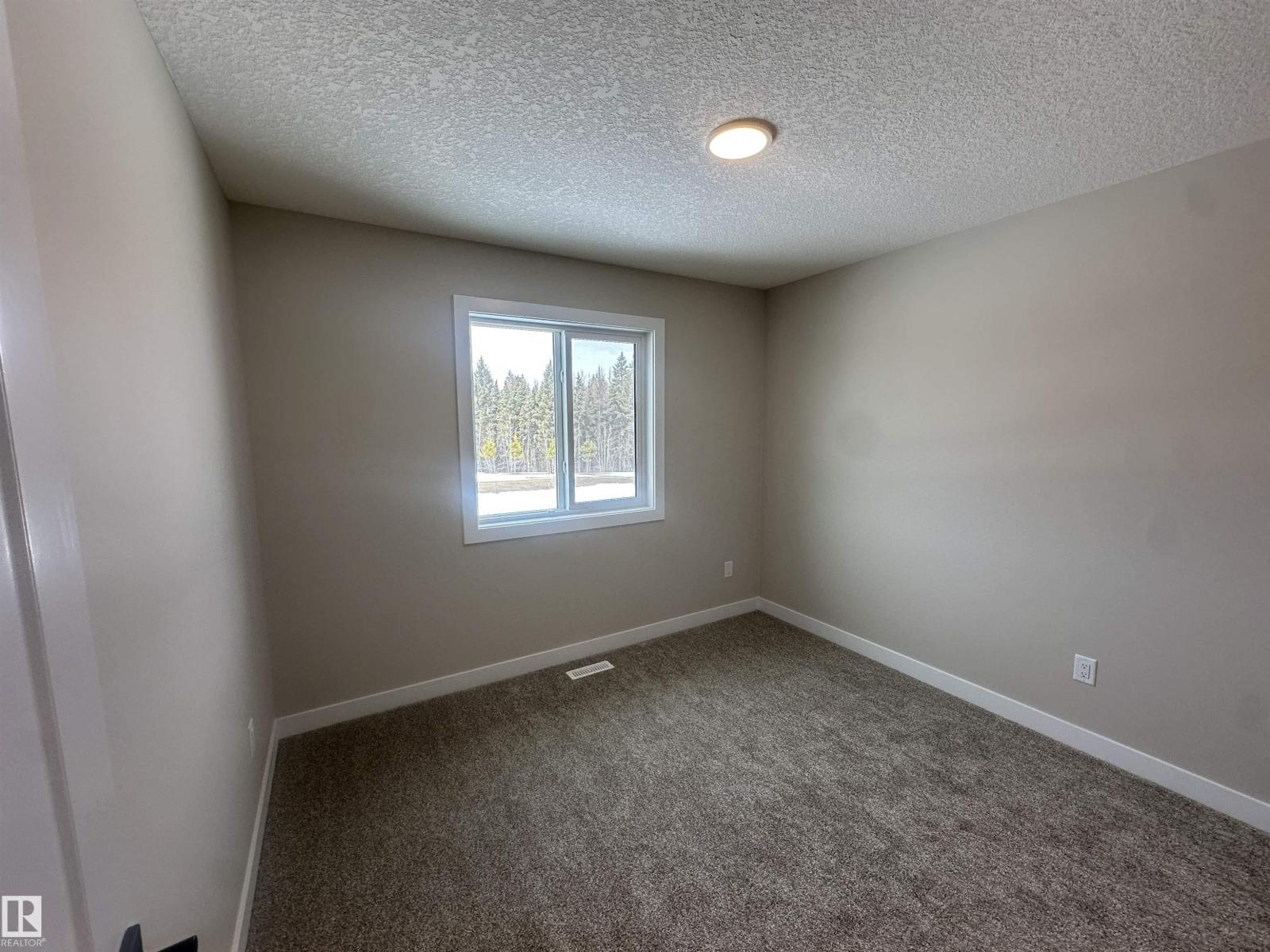 137 Hilton Cv, Spruce Grove, Alberta  T7X 1Y4 - Photo 20 - E4469067