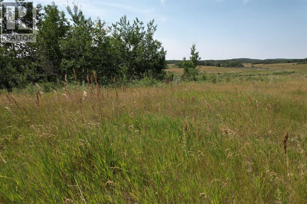 On Hwy 816, Rural Red Deer County, Alberta  T4E 0V5 - Photo 27 - A2155823