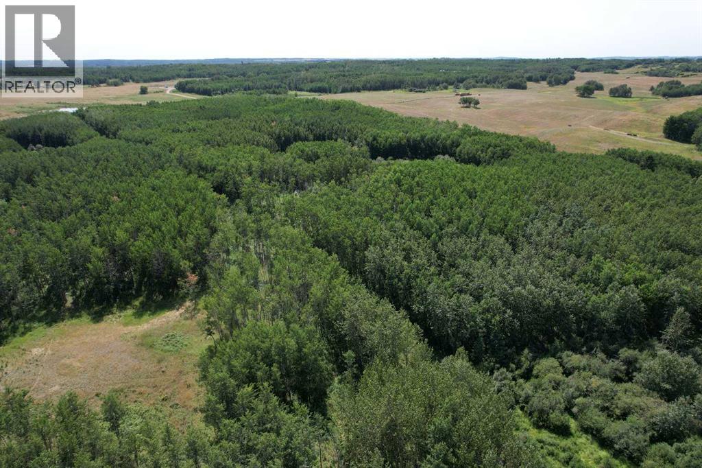 On Hwy 816, Rural Red Deer County, Alberta  T4E 0V5 - Photo 24 - A2155823