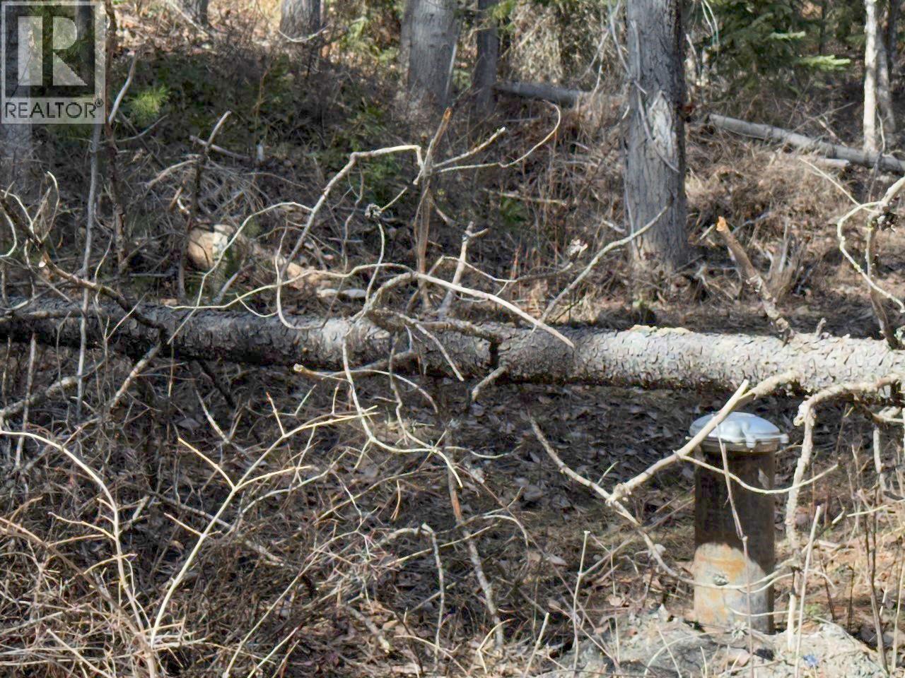 Km 53 Christian Valley Road Lot# 3, Westbridge, British Columbia  V0H 2B0 - Photo 7 - 10373639