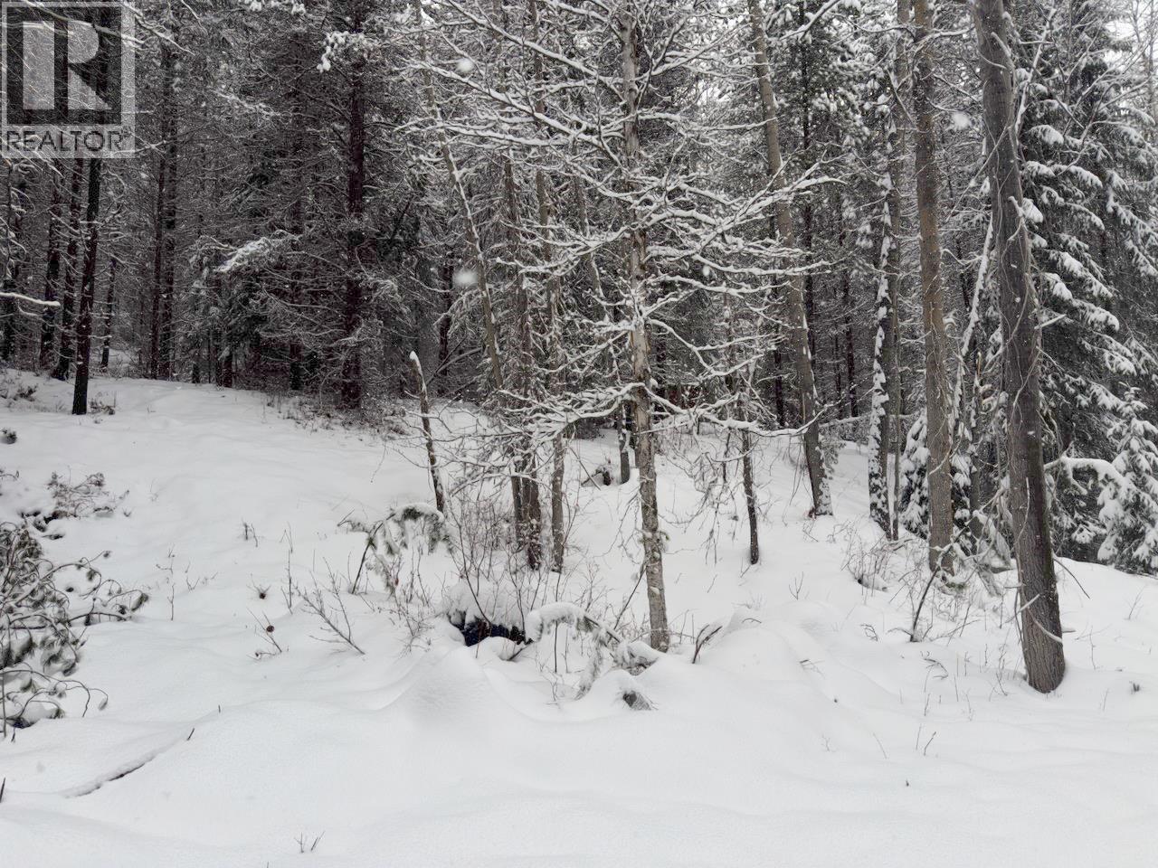 Km 53 Christian Valley Road Lot# 3, Westbridge, British Columbia  V0H 2B0 - Photo 14 - 10373639