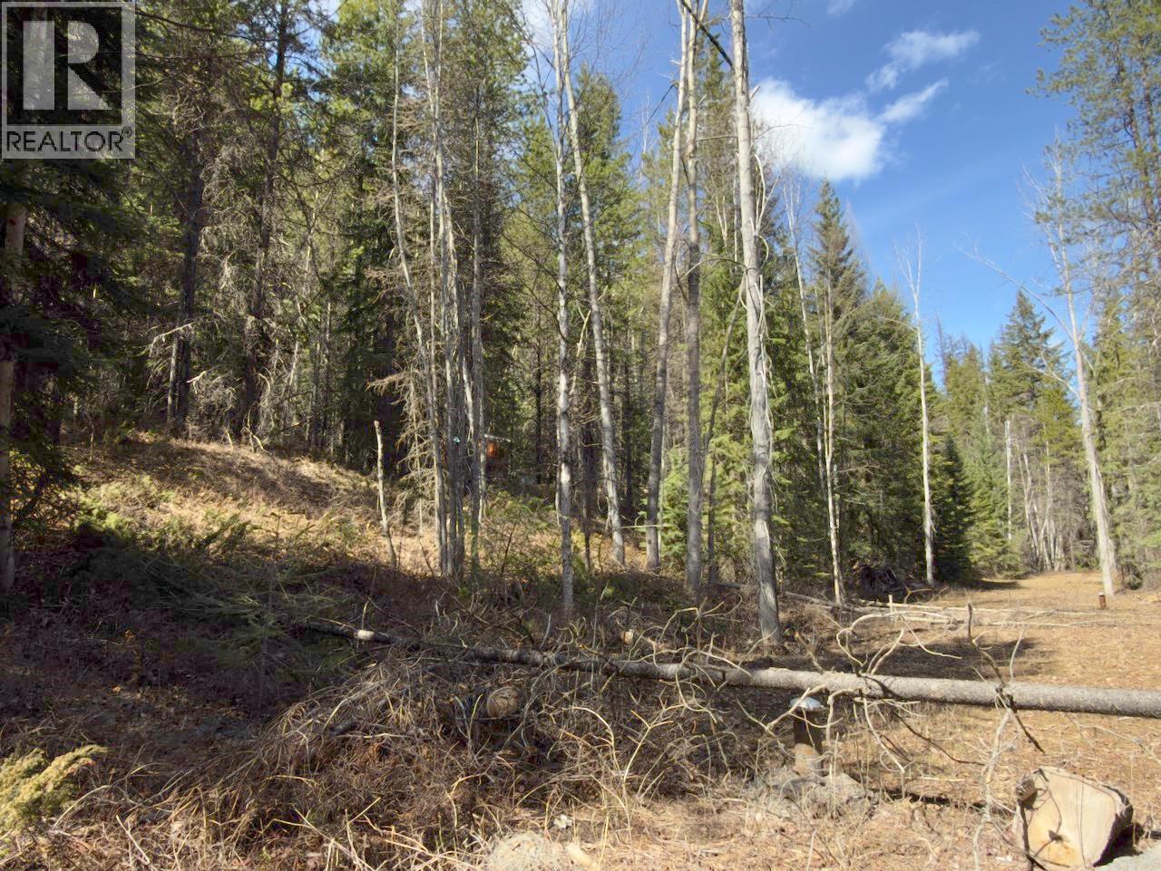 Km 53 Christian Valley Road Lot# 3, Westbridge, British Columbia  V0H 2B0 - Photo 8 - 10373639