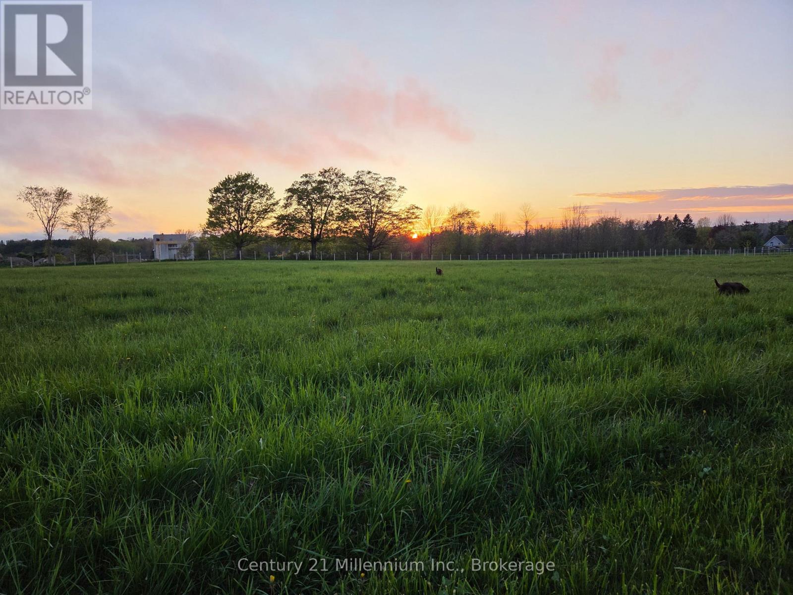 441090 Elm Street, Georgian Bluffs, Ontario  N0H 2T0 - Photo 45 - X12982590