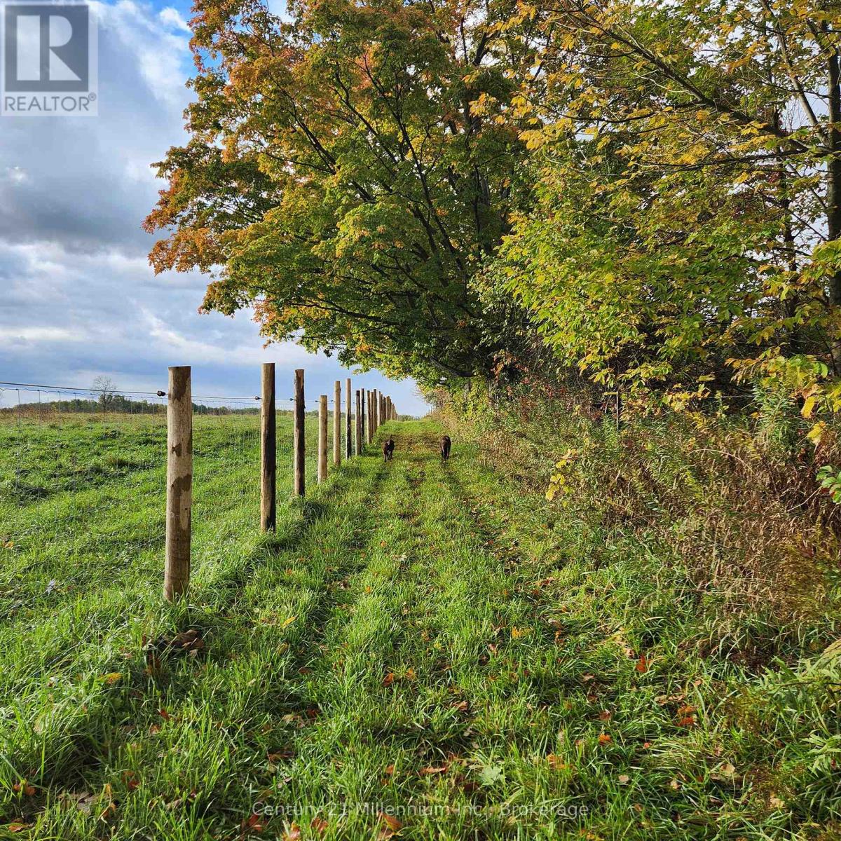 441090 Elm Street, Georgian Bluffs, Ontario  N0H 2T0 - Photo 46 - X12982590