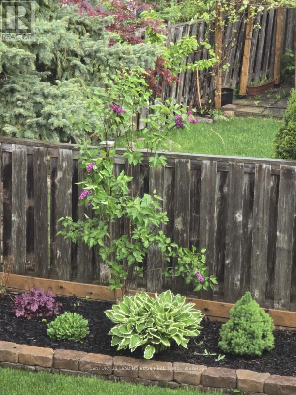 43 Nightstar Drive, Richmond Hill, Ontario  L4C 8H8 - Photo 28 - N12981820