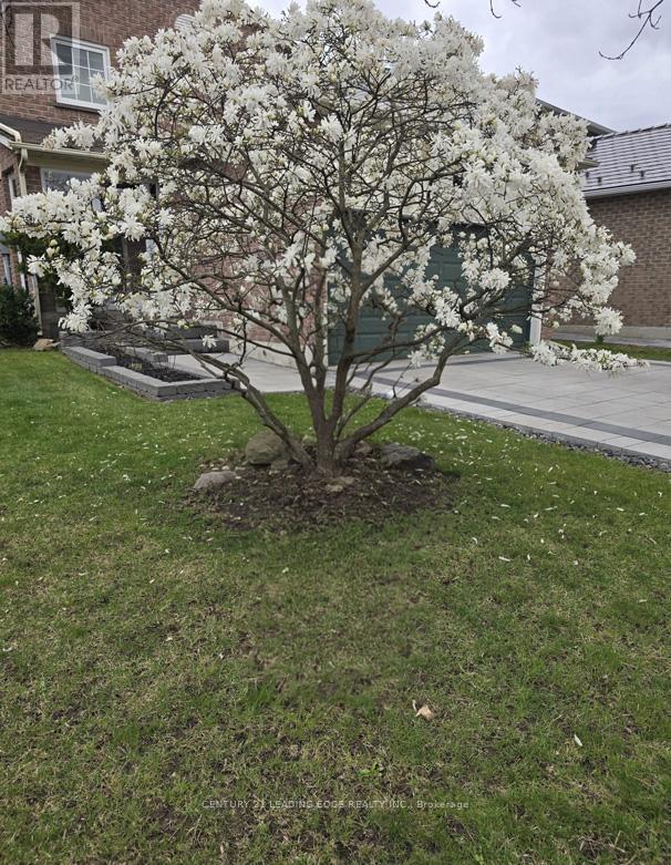 43 Nightstar Drive, Richmond Hill, Ontario  L4C 8H8 - Photo 30 - N12981820