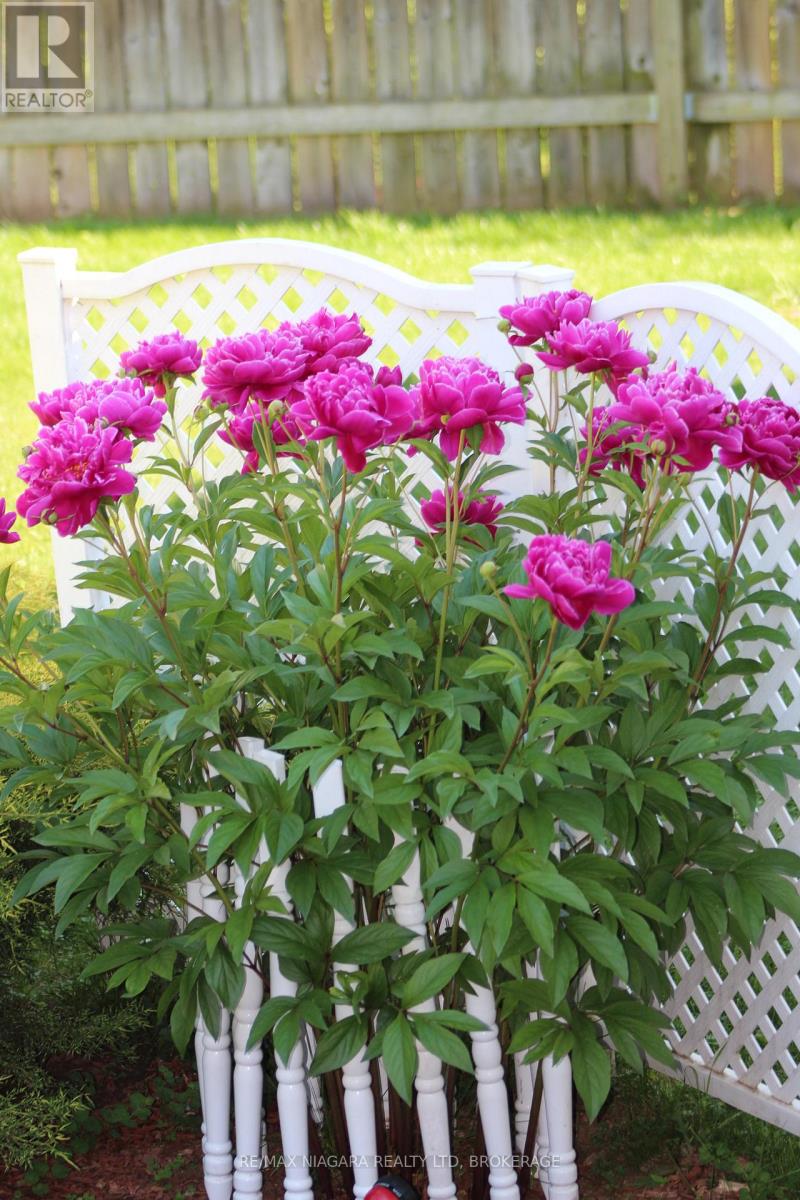 4445 Lincoln Avenue, Lincoln, Ontario  L0R 1B3 - Photo 35 - X12763948