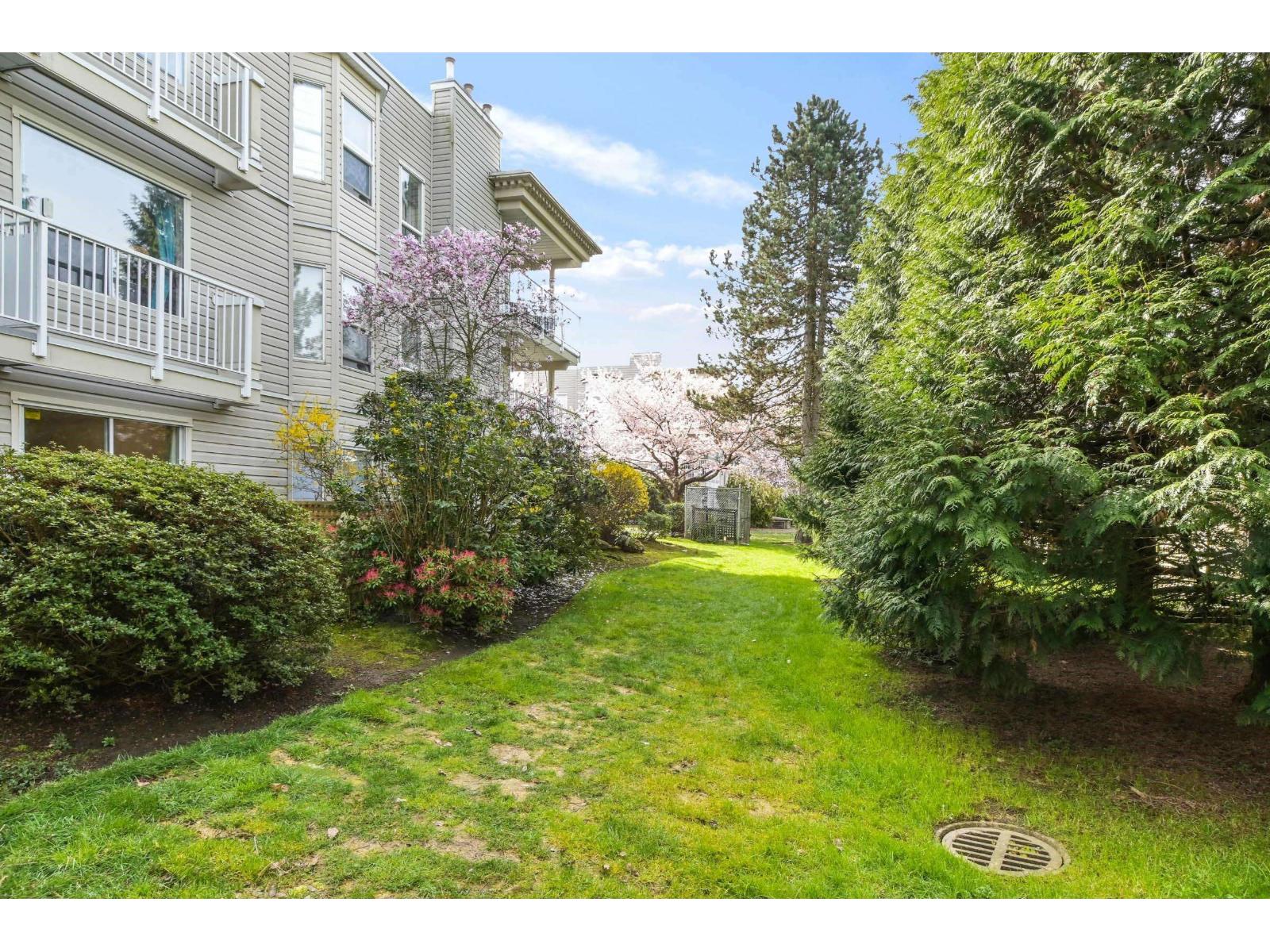 102 9948 151 Street, Surrey, British Columbia  V3R 0V6 - Photo 24 - R3108613