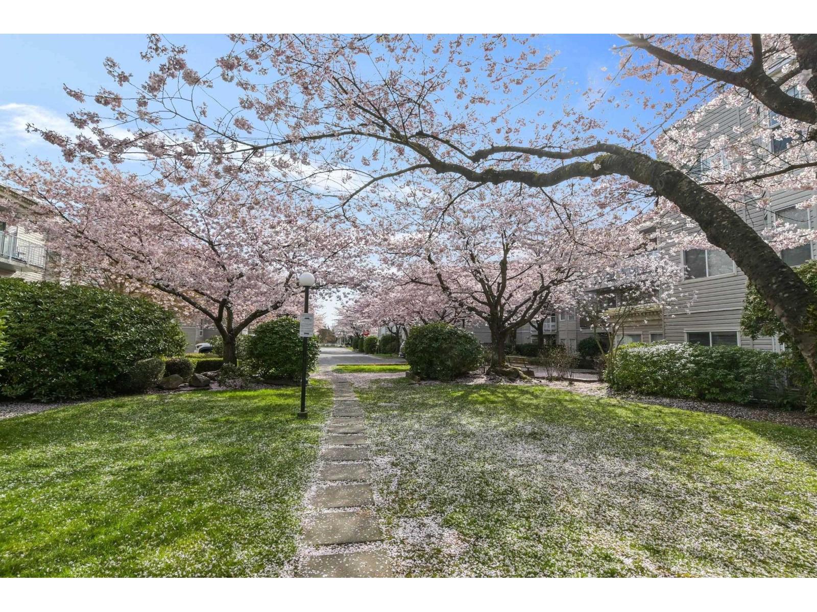 102 9948 151 Street, Surrey, British Columbia  V3R 0V6 - Photo 27 - R3108613