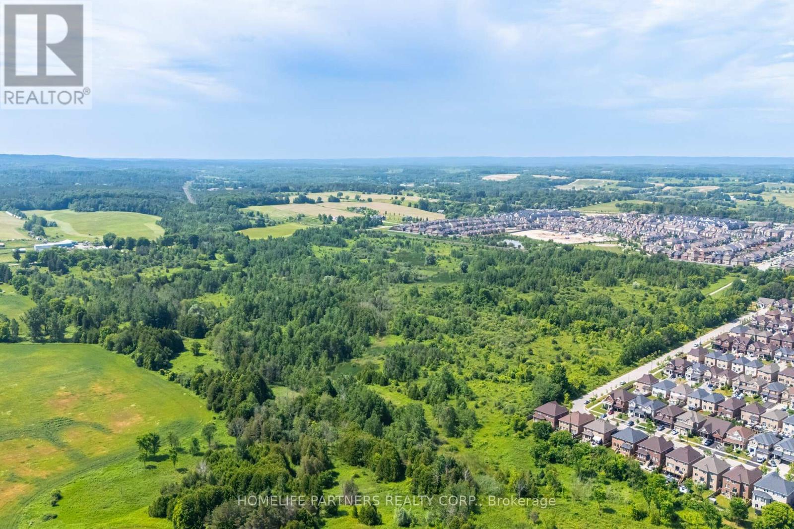 6438 3rd Line, New Tecumseth, Ontario  L0G 1W0 - Photo 6 - N12980324