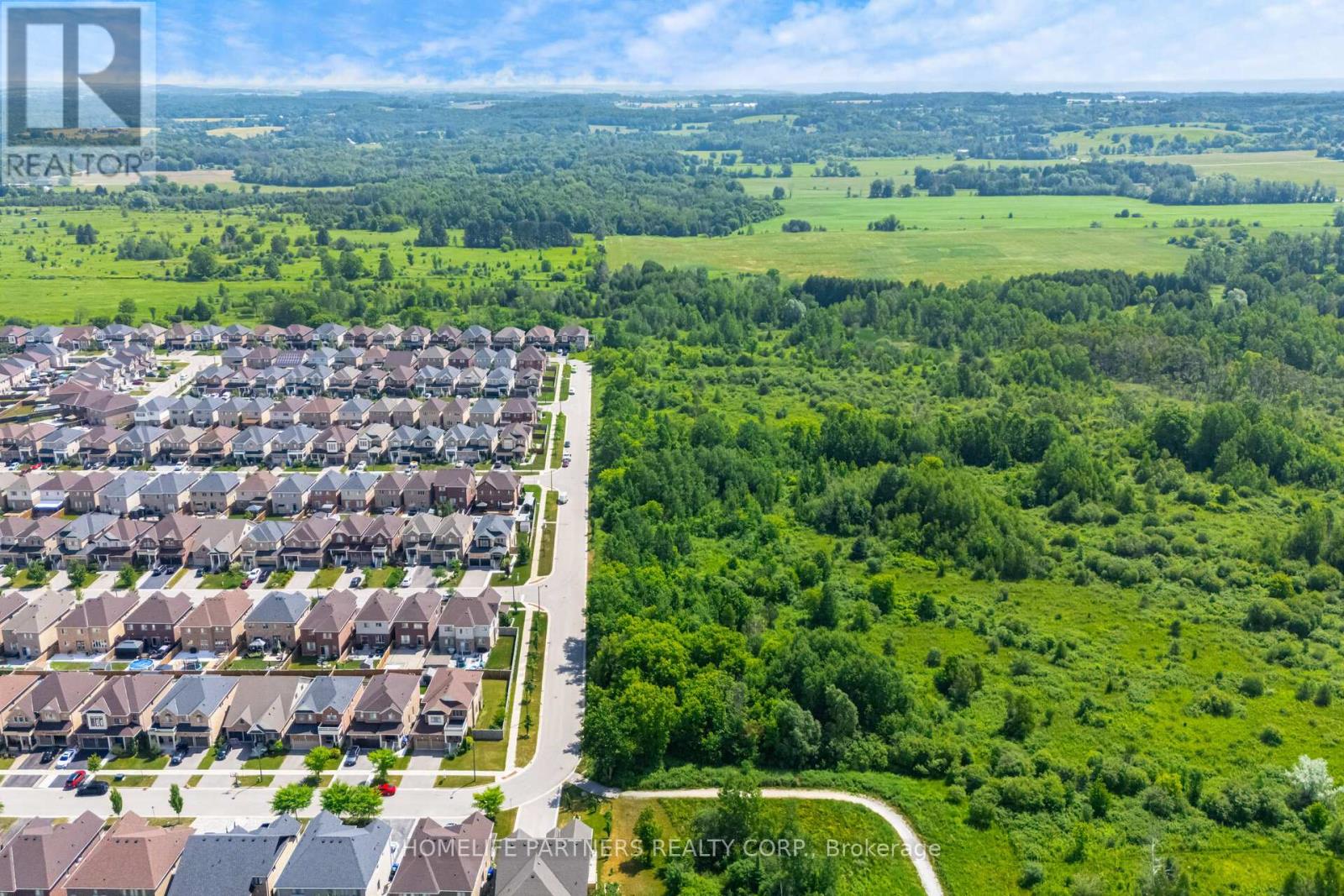 6438 3rd Line, New Tecumseth, Ontario  L0G 1W0 - Photo 5 - N12980324