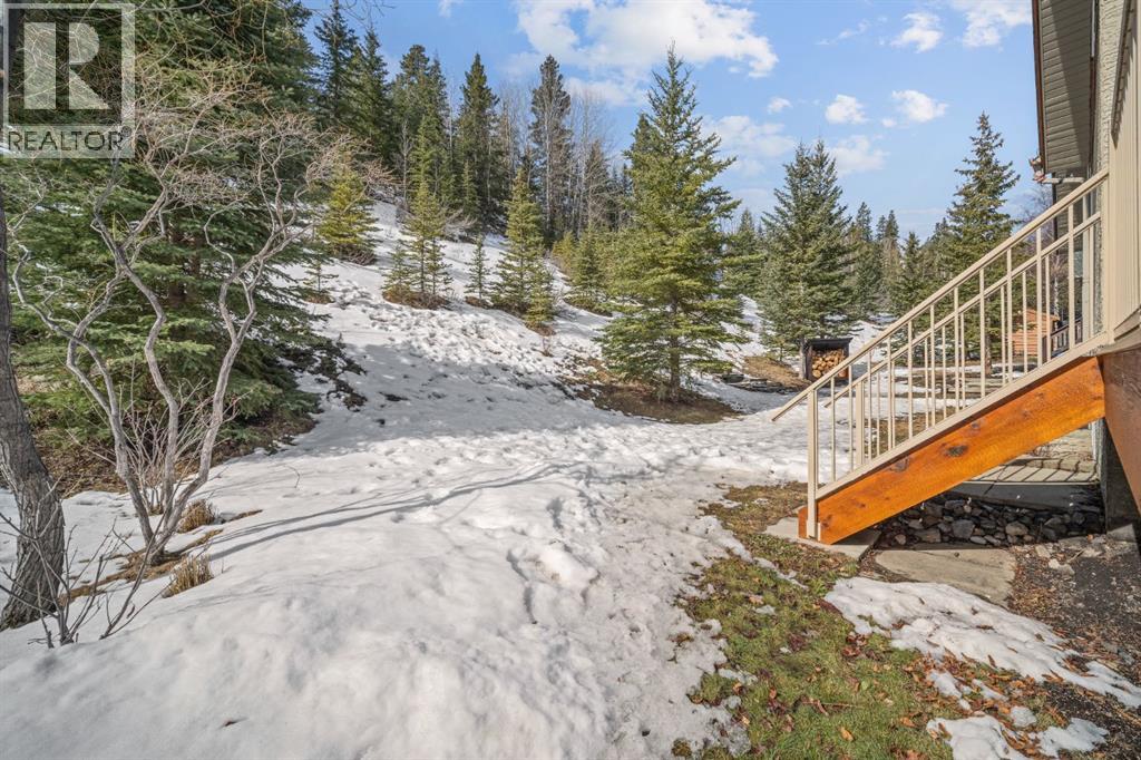 136 Morris, Canmore, Alberta  T1W 2W6 - Photo 26 - A2300455
