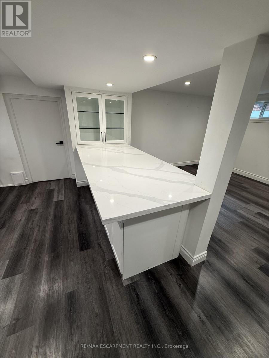 Basement - 79 Castlefield Drive, Hamilton, Ontario  L8T 3R1 - Photo 12 - X12982690