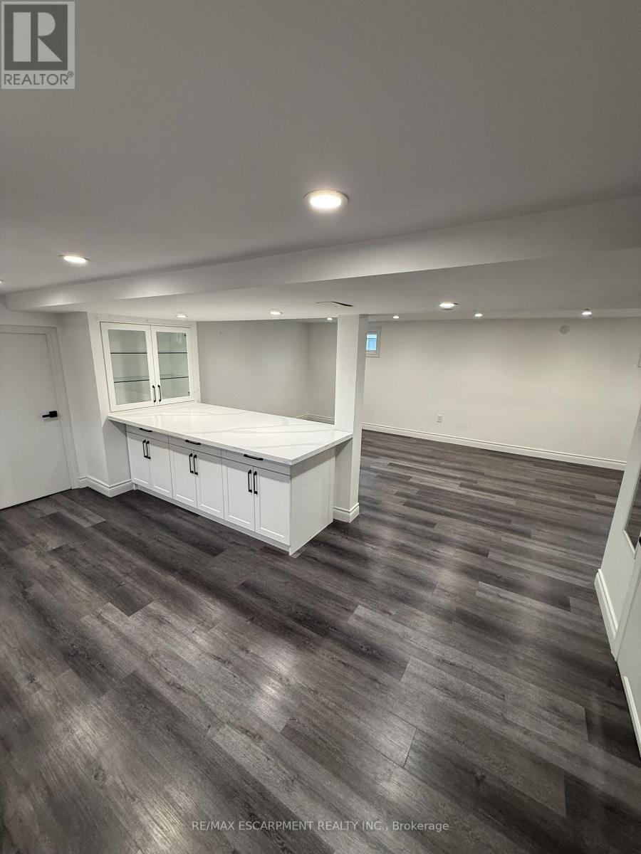 Basement - 79 Castlefield Drive, Hamilton, Ontario  L8T 3R1 - Photo 6 - X12982690