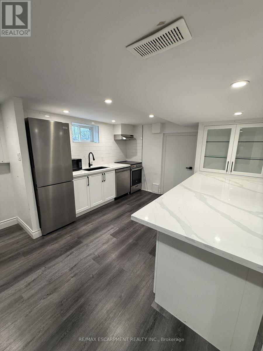 Basement - 79 Castlefield Drive, Hamilton, Ontario  L8T 3R1 - Photo 8 - X12982690