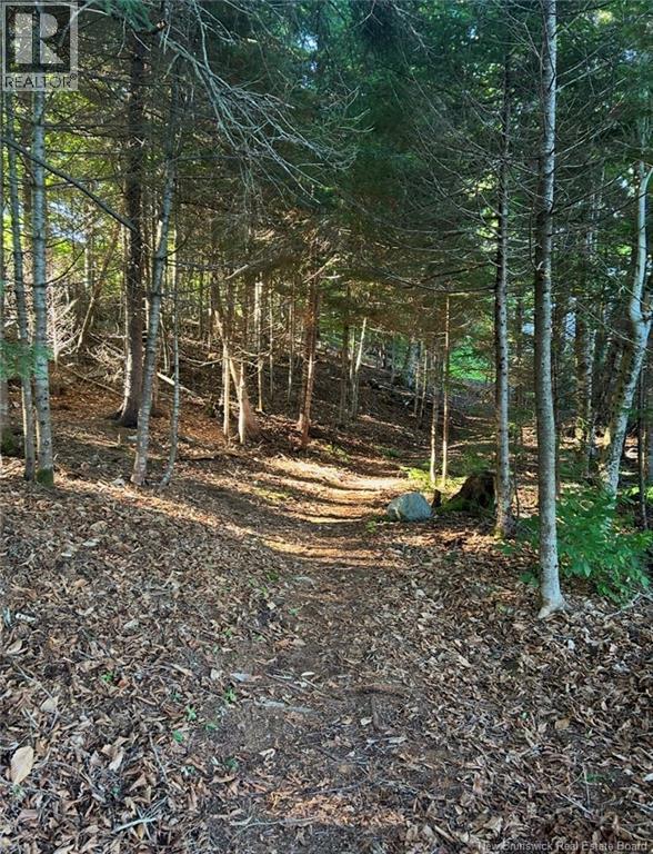 23 - 33 Fillmore Lane, Saint John, New Brunswick  E2N 1R5 - Photo 35 - NB135595