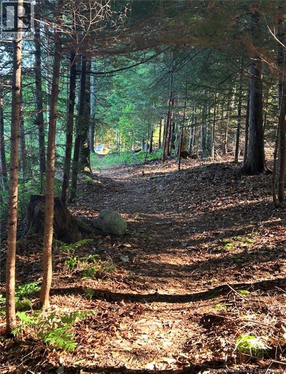 23 - 33 Fillmore Lane, Saint John, New Brunswick  E2N 1R5 - Photo 34 - NB135595