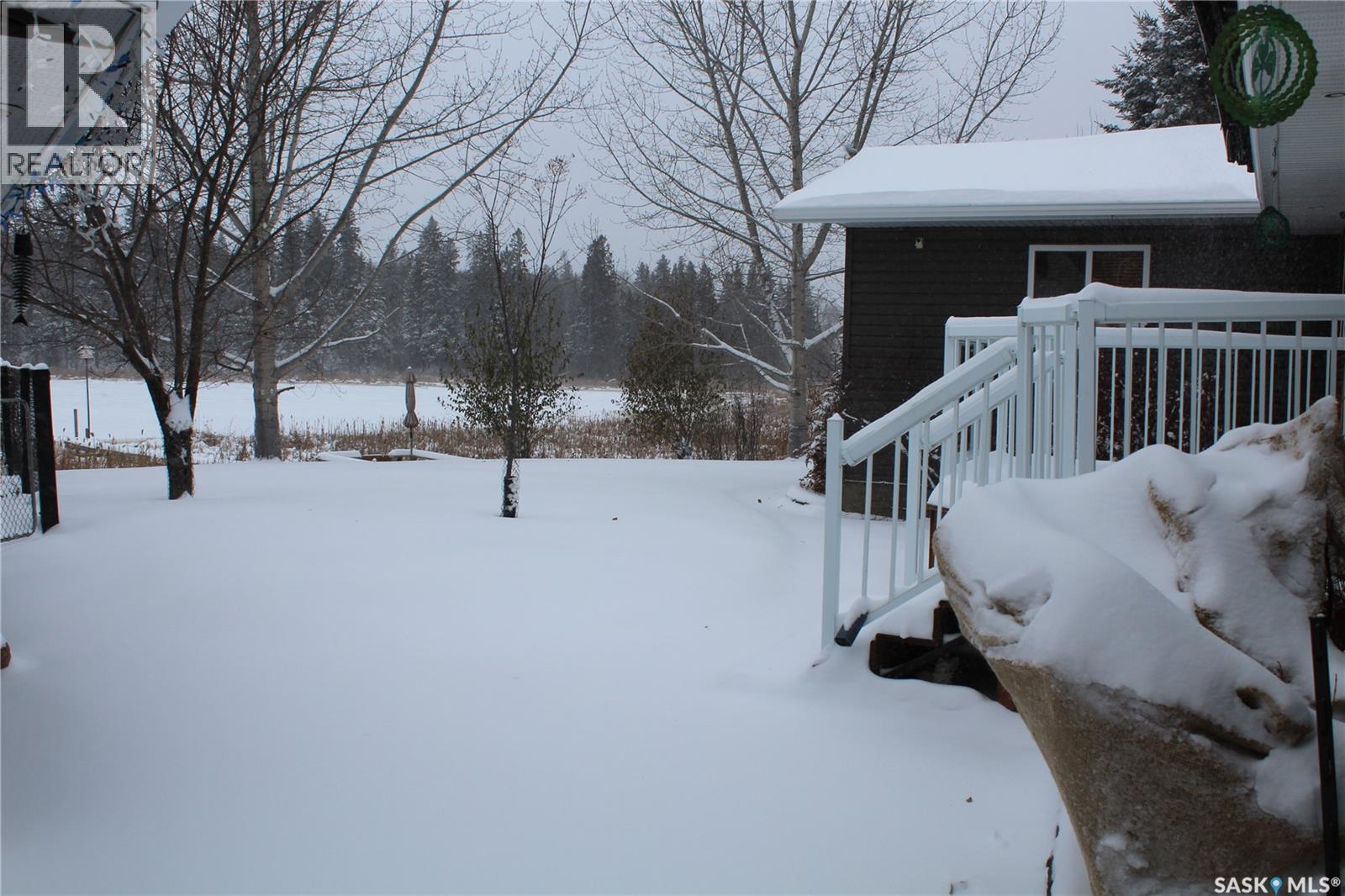 412 Mary Anne Place, Paddockwood Rm No. 520, Saskatchewan  S0J 0N0 - Photo 2 - SK032101