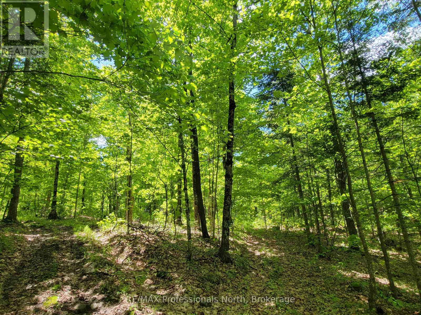 0 Dufferin Street, South River, Ontario P0A 1X0 - Photo 10 - X12982962