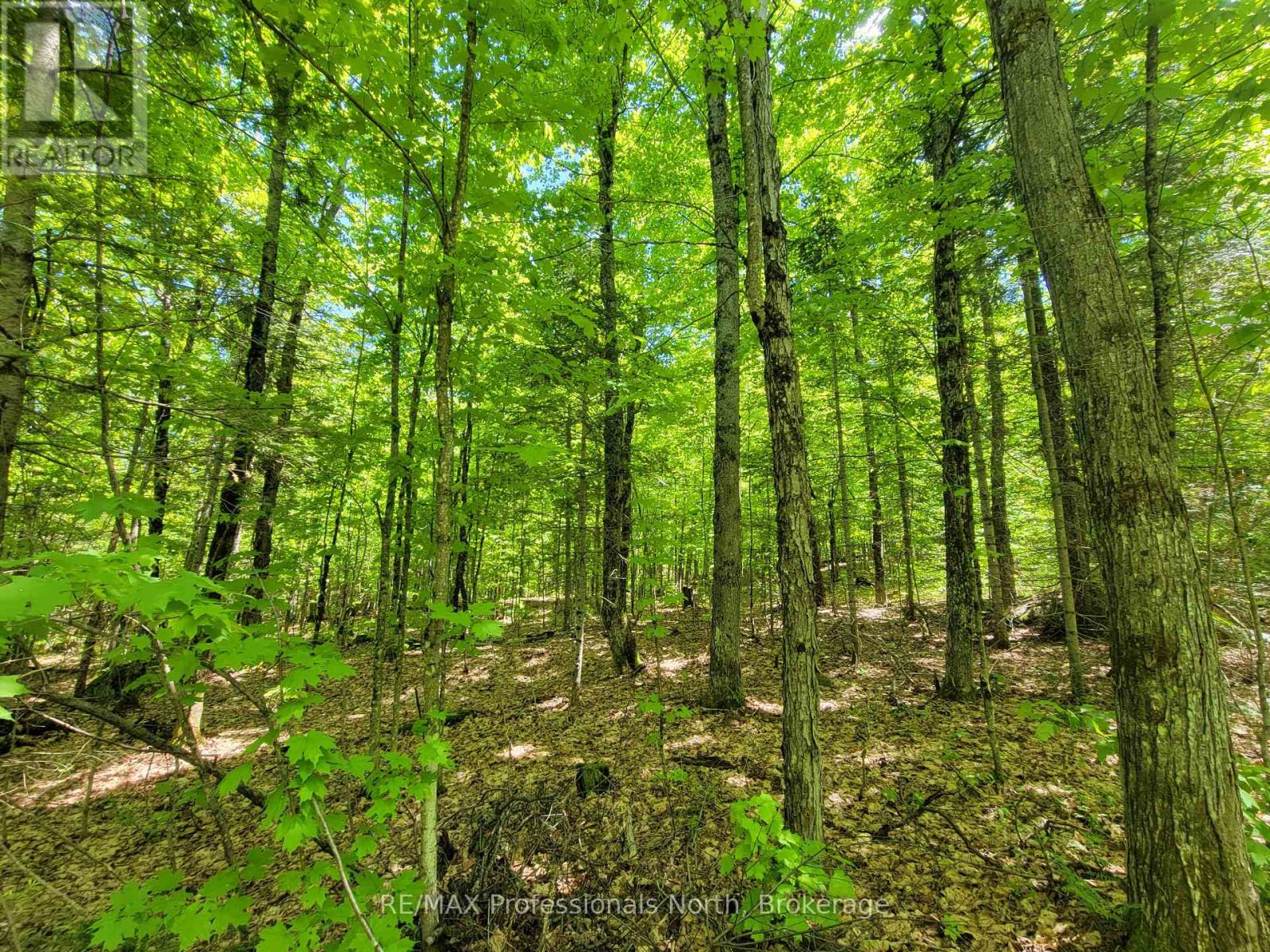 0 Dufferin Street, South River, Ontario P0A 1X0 - Photo 12 - X12982962