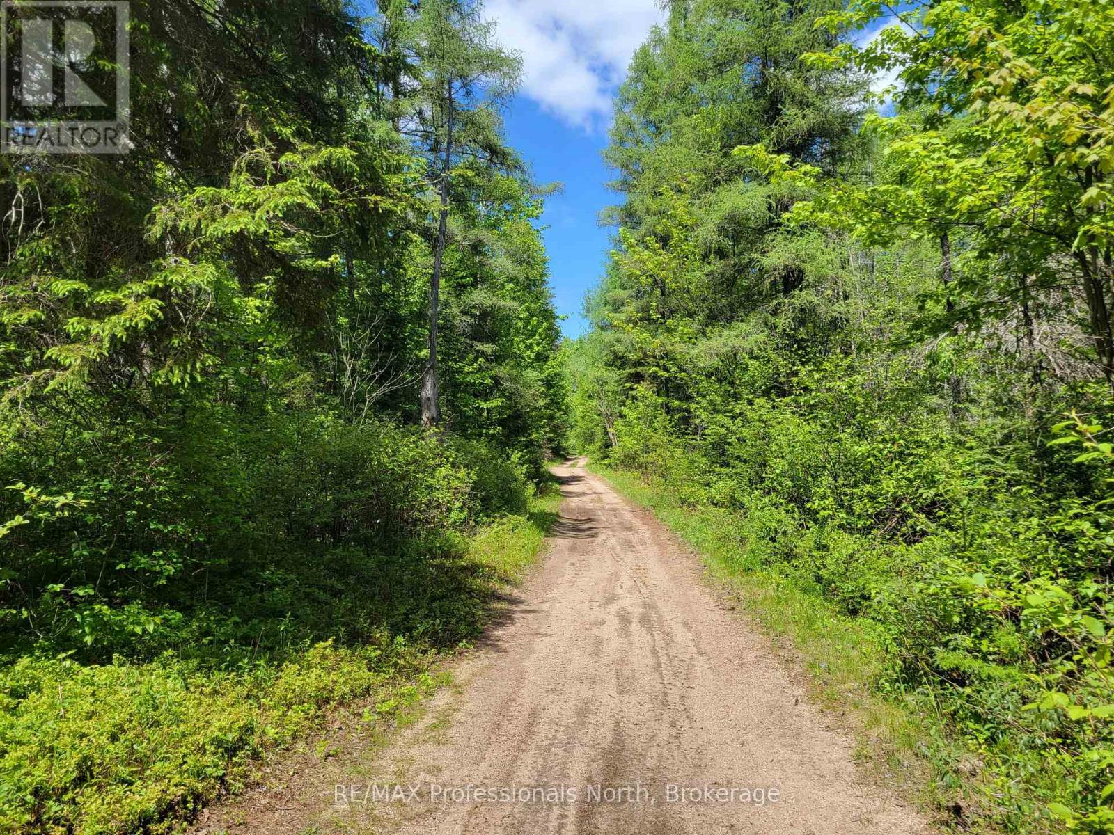 0 Dufferin Street, South River, Ontario P0A 1X0 - Photo 2 - X12982962