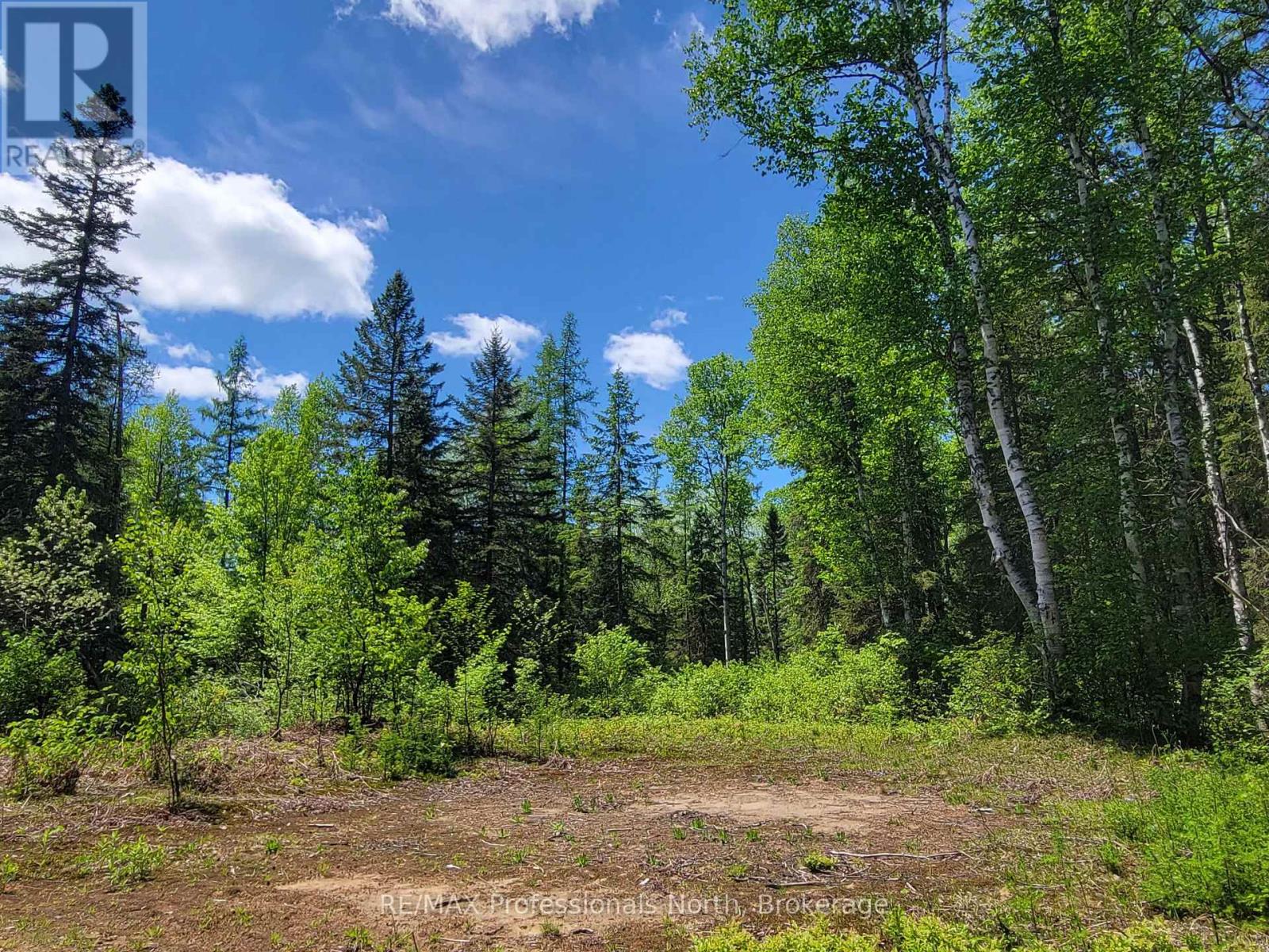 0 Dufferin Street, South River, Ontario P0A 1X0 - Photo 3 - X12982962