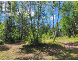 0 DUFFERIN STREET, south river, Ontario