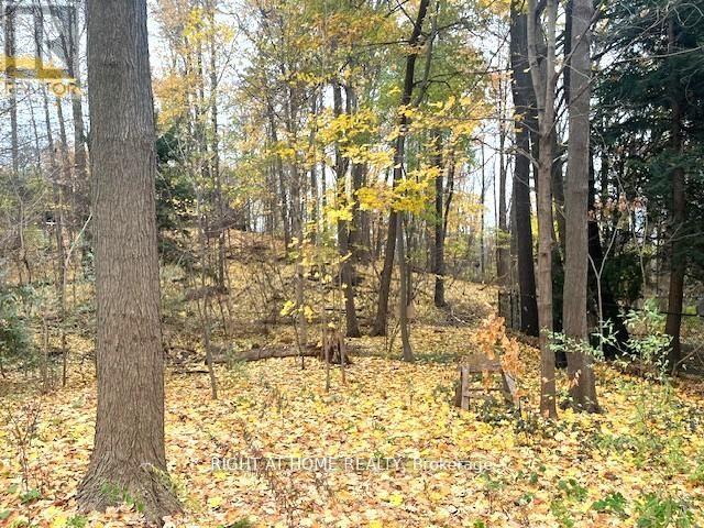 1445 Ryan Place, Mississauga, Ontario  L5C 1J7 - Photo 41 - W12982972