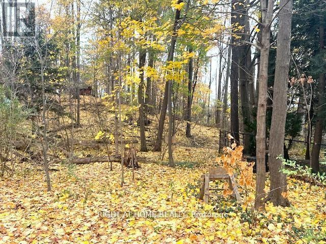 1445 Ryan Place, Mississauga, Ontario  L5C 1J7 - Photo 42 - W12982972