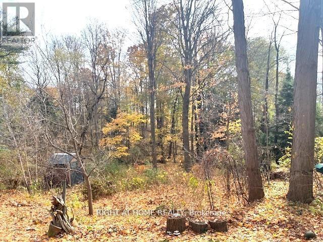 1445 Ryan Place, Mississauga, Ontario  L5C 1J7 - Photo 43 - W12982972