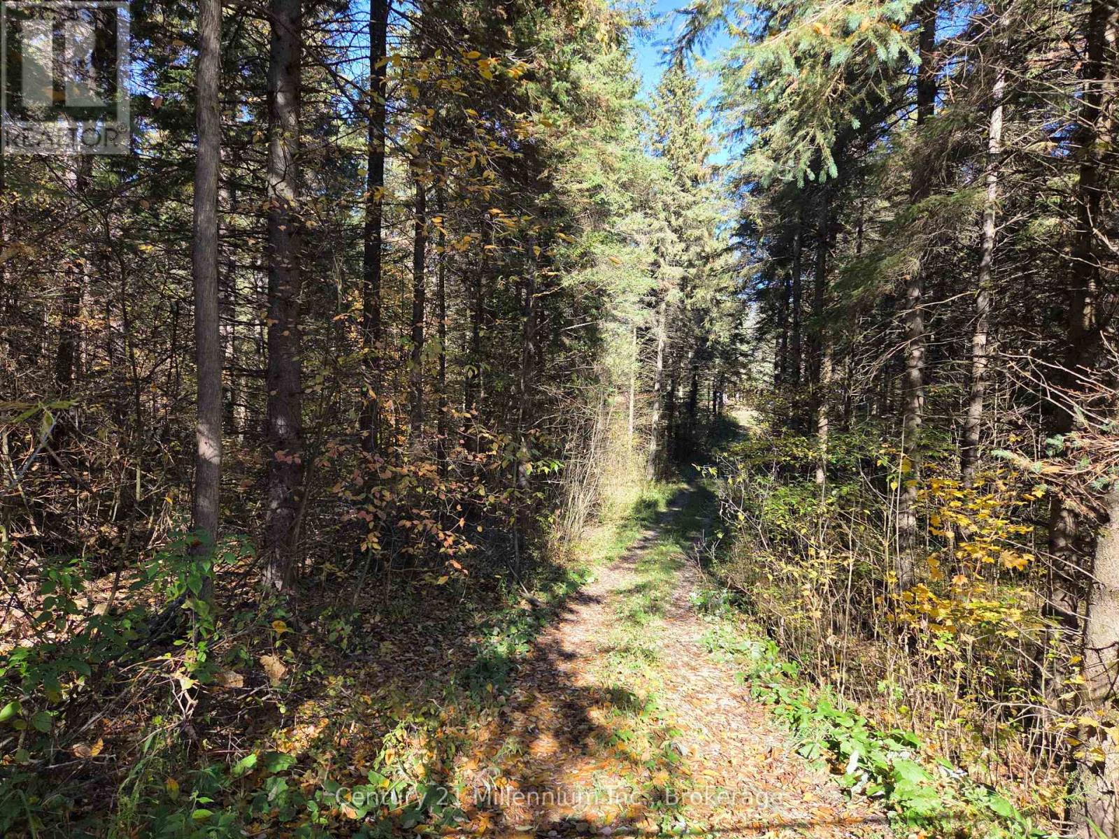 627383 15 SIDE ROAD, Mulmur, Ontario