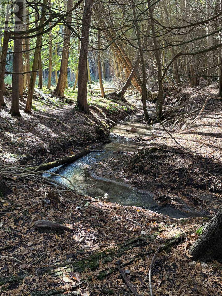 627383 15 Side Road, Mulmur, Ontario  L0N 1M0 - Photo 2 - X12983034