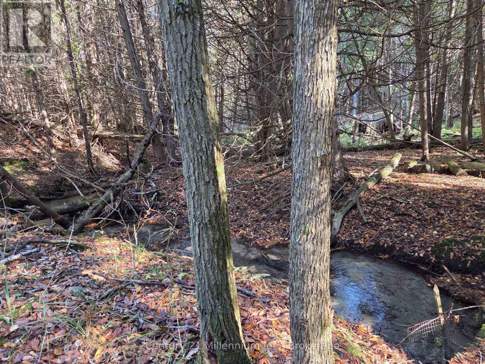 627383 15 Side Road, Mulmur, Ontario  L0N 1M0 - Photo 3 - X12983034