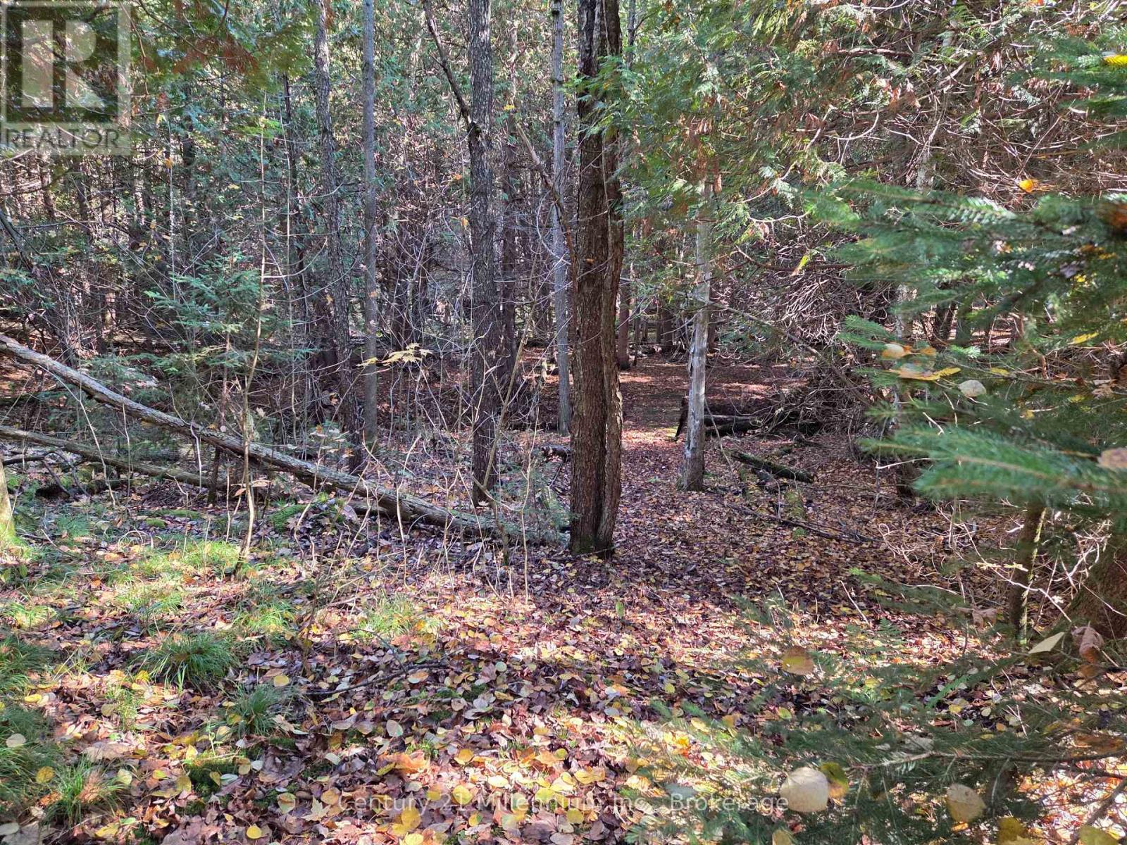 627383 15 Side Road, Mulmur, Ontario  L0N 1M0 - Photo 4 - X12983034